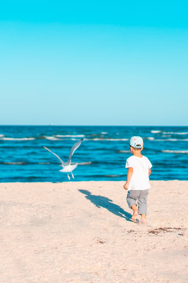 Kinder vakantie