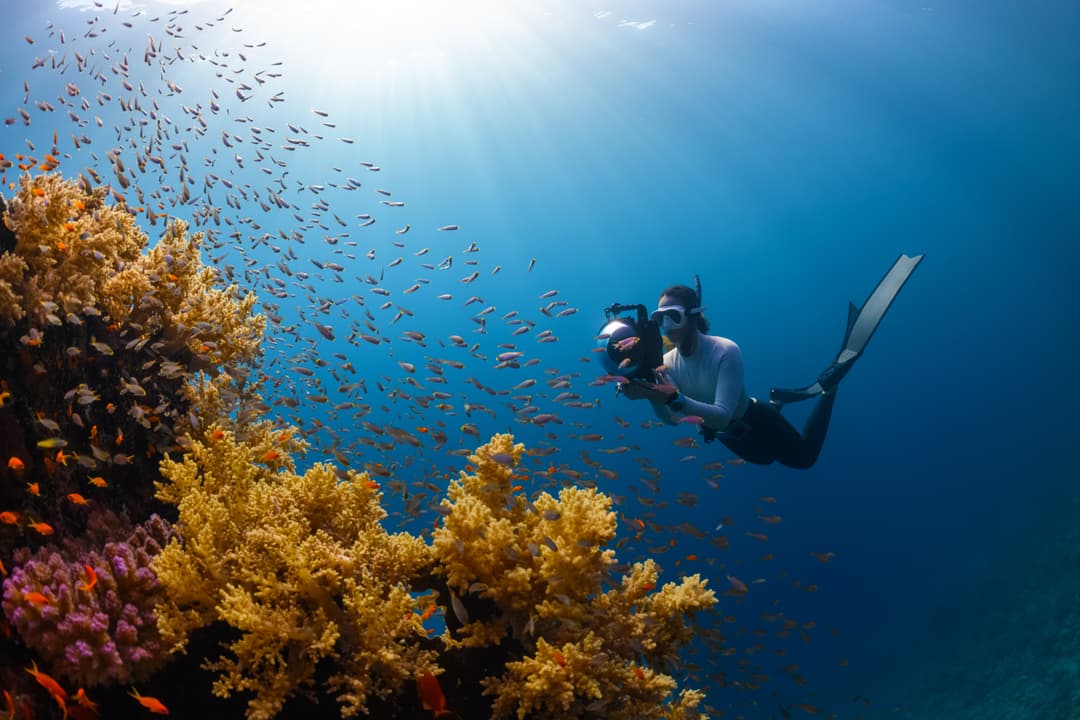 Onderwater Vakantie: Duik in de Mysterieuze Wereld van de Oceanen