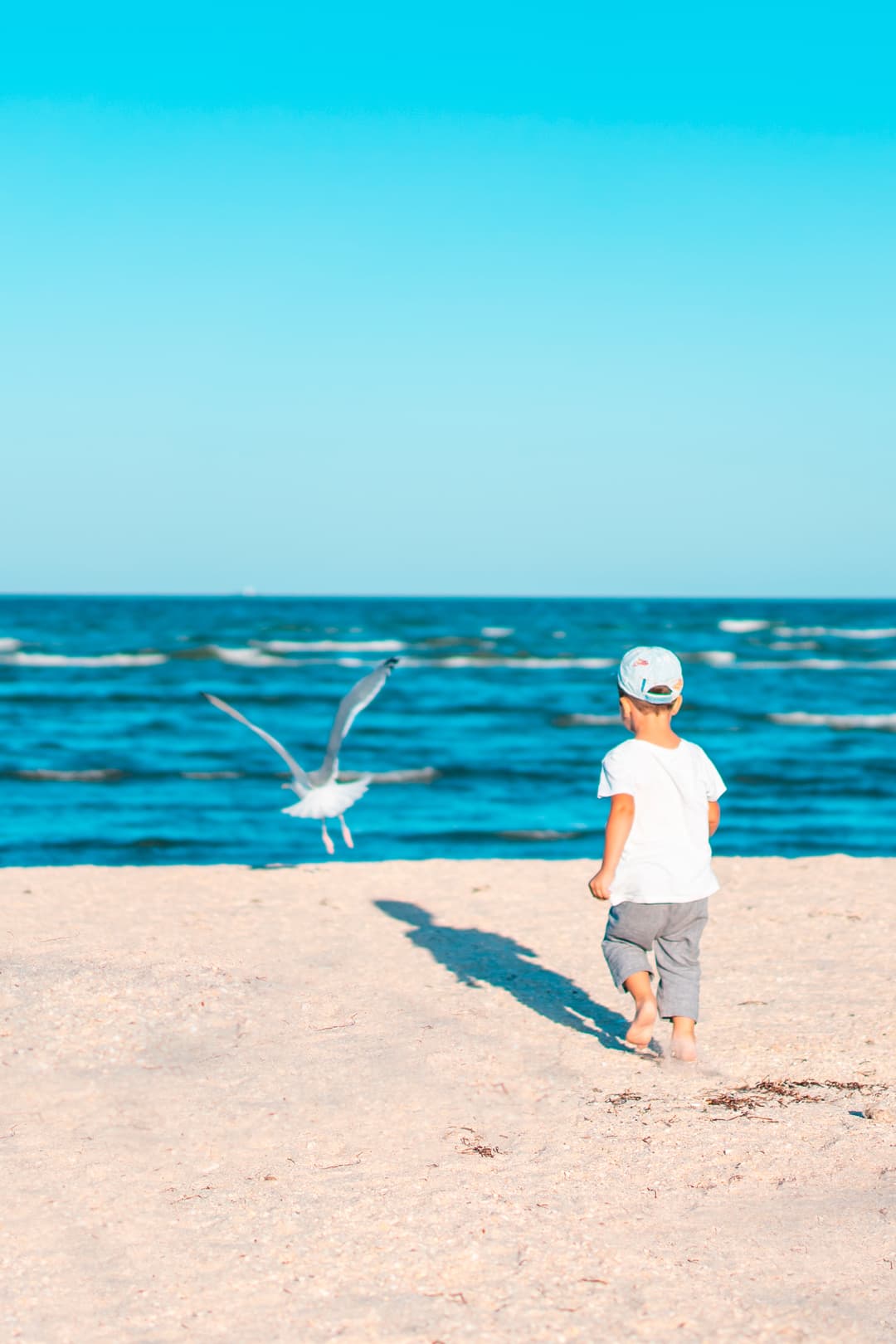 Kindervakantie in Nederland: Plezier en Ontdekking voor het Hele Gezin